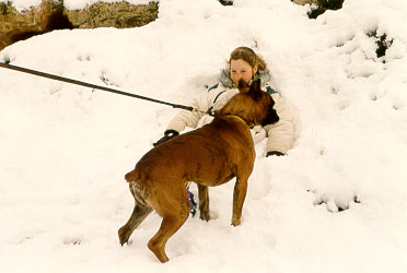 Marina with some neighbour's dog