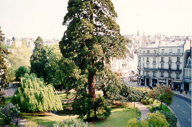 The Main Place of the City of Bloishedral