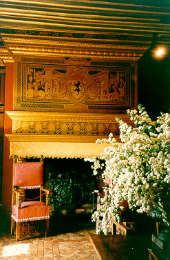 Camin and Flowers in the Castle